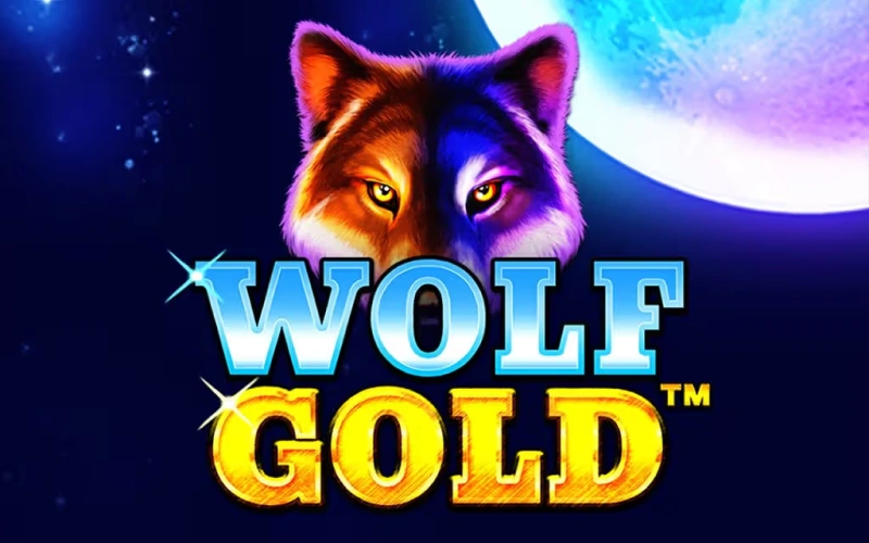 Hunt for big wins in the Wolf Gold slot game at 1win.